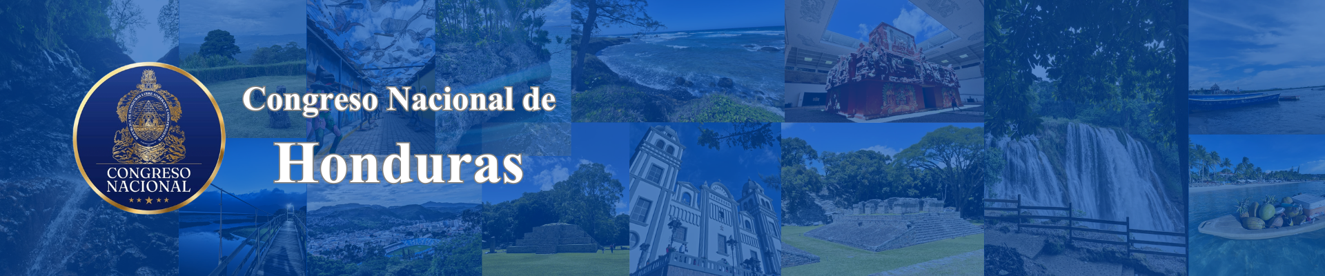 Banner Congreso Nacional